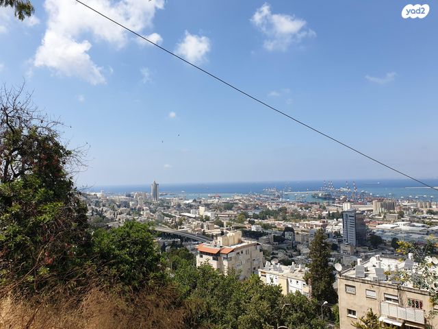 דרך יד לבנים 184