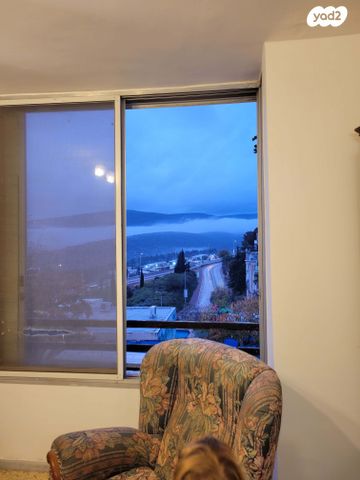 דוד אלעזר 41