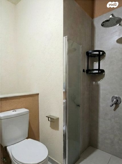 שאול טשרניחובסקי 28