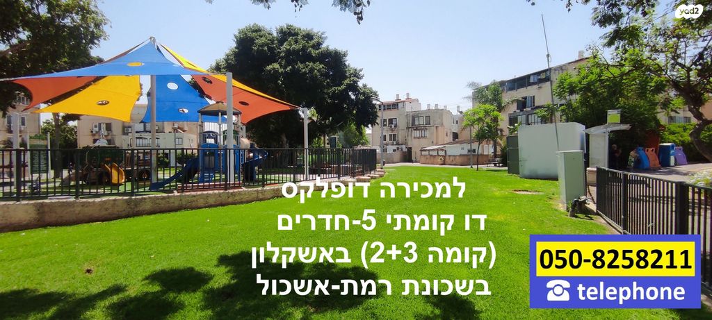 דוד רזיאל 