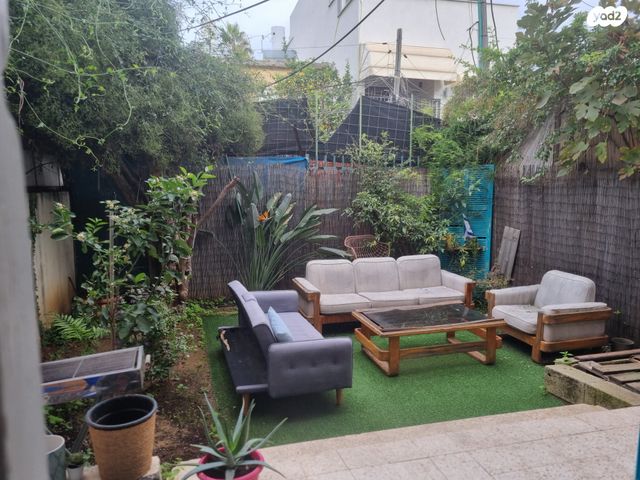 דם המכבים 31