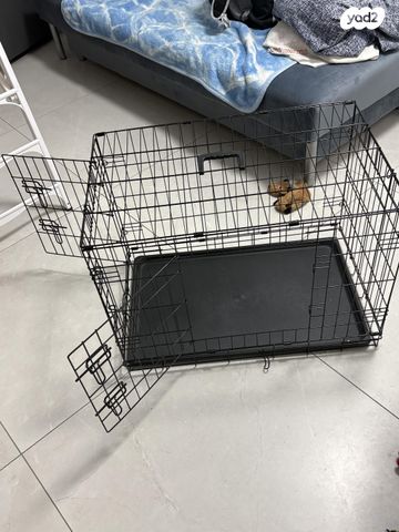 תמונת מודעה - חיות מחמד