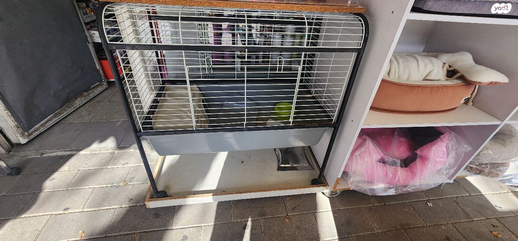 תמונת מודעה - חיות מחמד