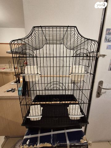 תמונת מודעה - חיות מחמד