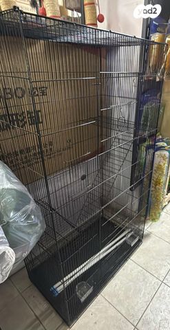 תמונת מודעה - חיות מחמד