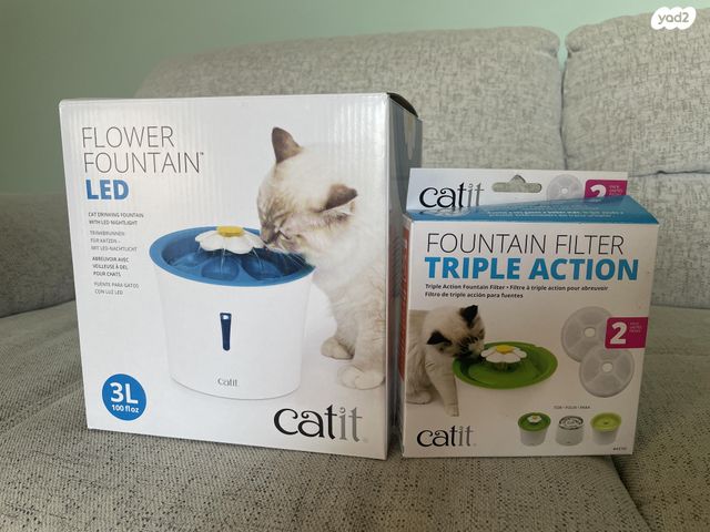 תמונת מודעה - חיות מחמד