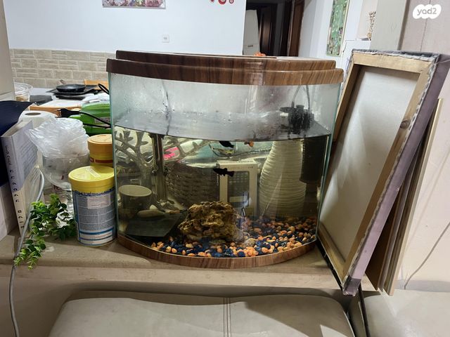 תמונת מודעה - חיות מחמד