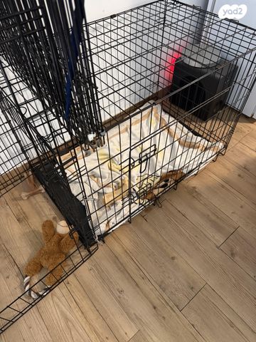 תמונת מודעה - חיות מחמד