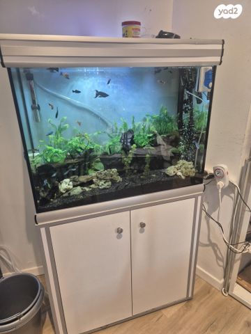 תמונת מודעה - חיות מחמד