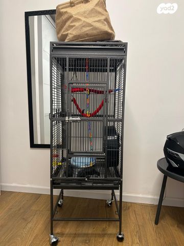 תמונת מודעה - חיות מחמד