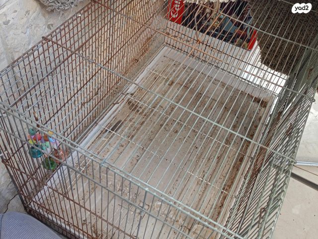 תמונת מודעה - חיות מחמד