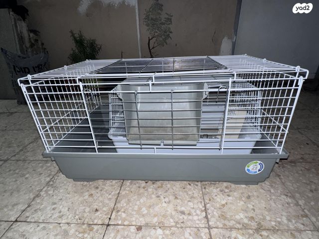 תמונת מודעה - חיות מחמד