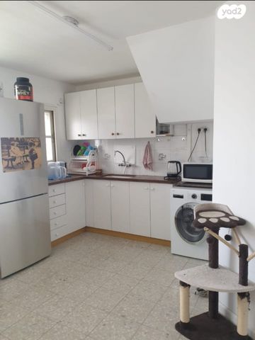 יוסף שפרינצק 4