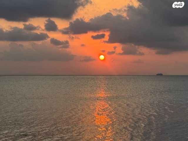 הרצליה הצעירה