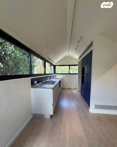 הפרטיזנים 19