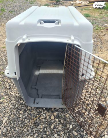 תמונת מודעה - חיות מחמד