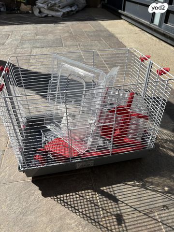 תמונת מודעה - חיות מחמד