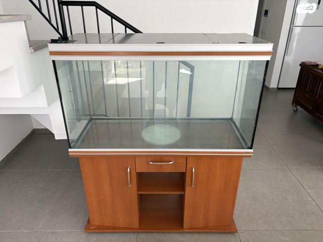 תמונת מודעה - חיות מחמד