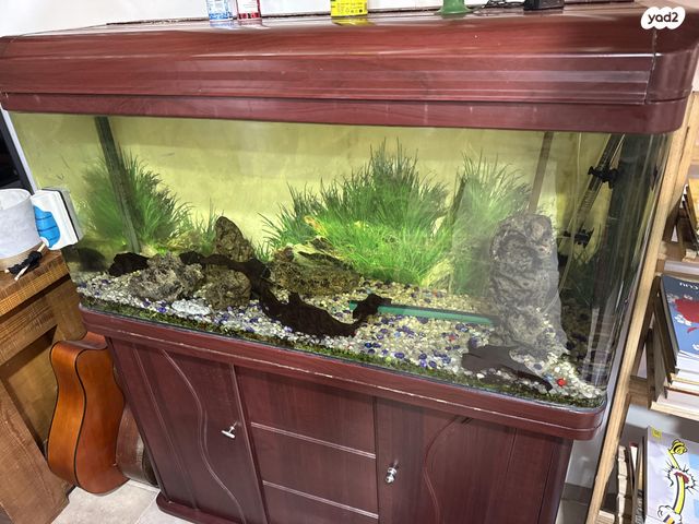 תמונת מודעה - חיות מחמד