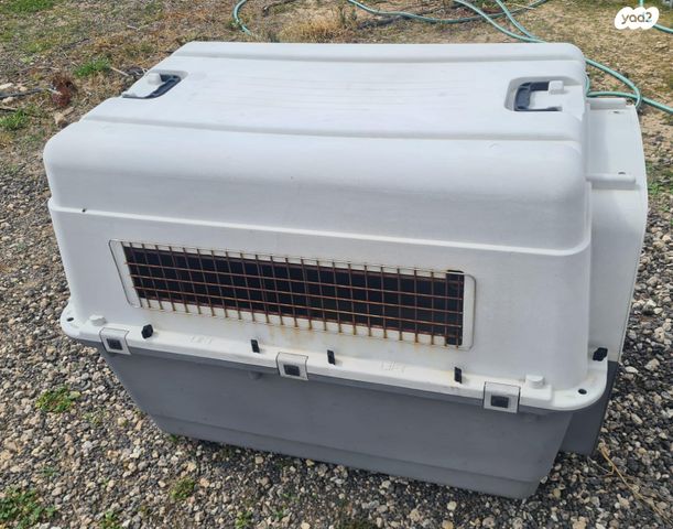 תמונת מודעה - חיות מחמד