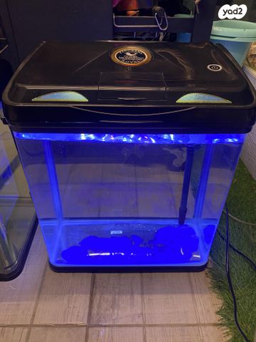 תמונת מודעה - חיות מחמד