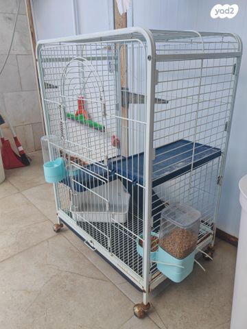 תמונת מודעה - חיות מחמד