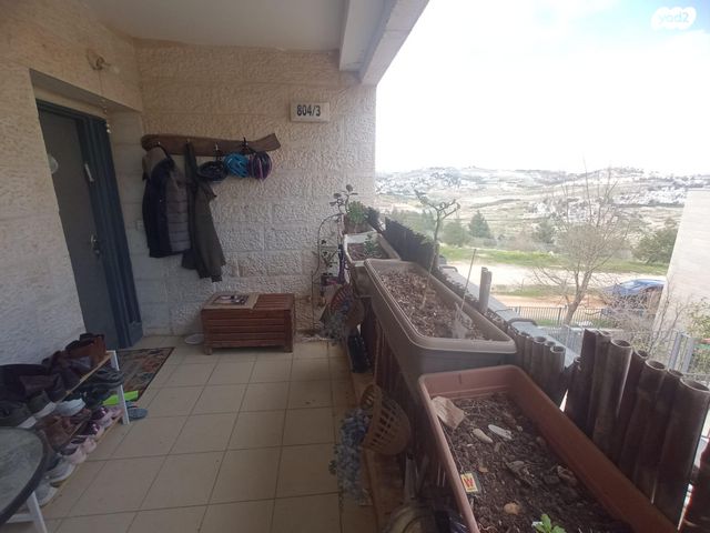 תכלת מרדכי 1