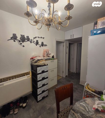 יחיאל מיכל פינס 22