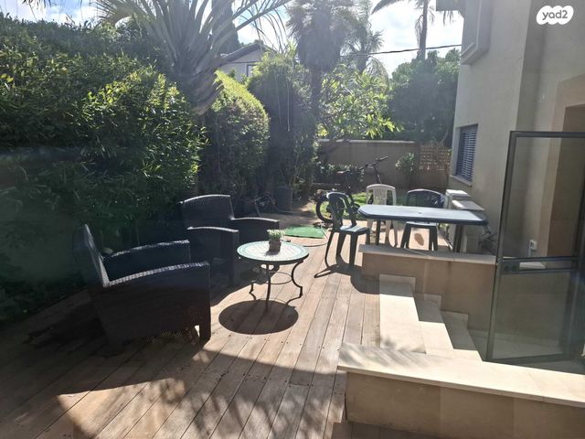 חביבה רייק 24