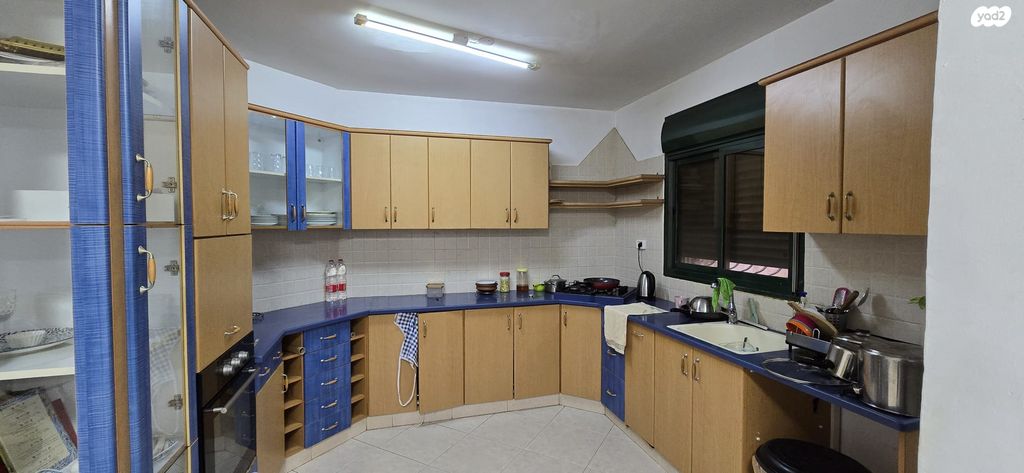 דוד פרישמן 11