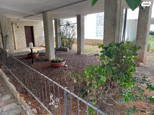 הגדוד העברי 65