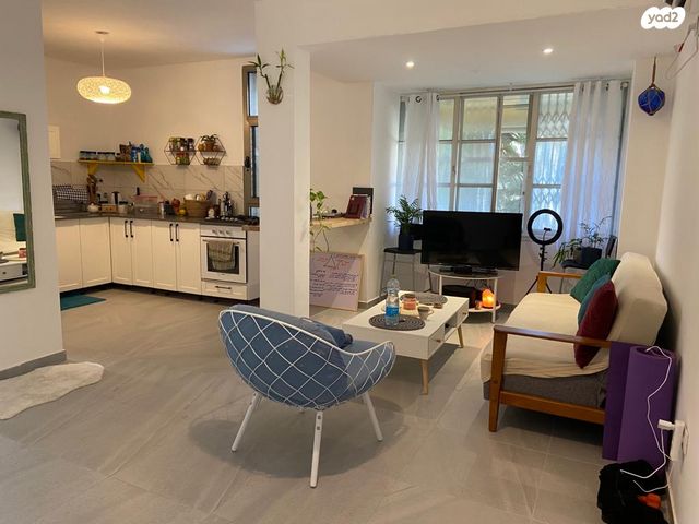 שמעון רייך 11