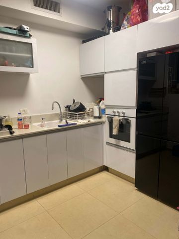 שמריהו לוין 17