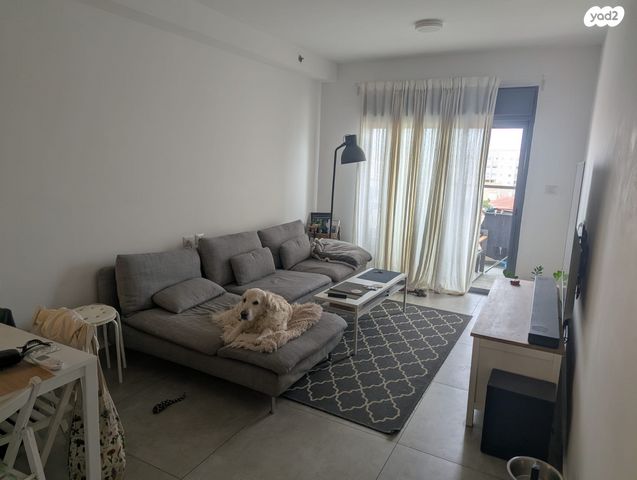 אליהו חכים 6