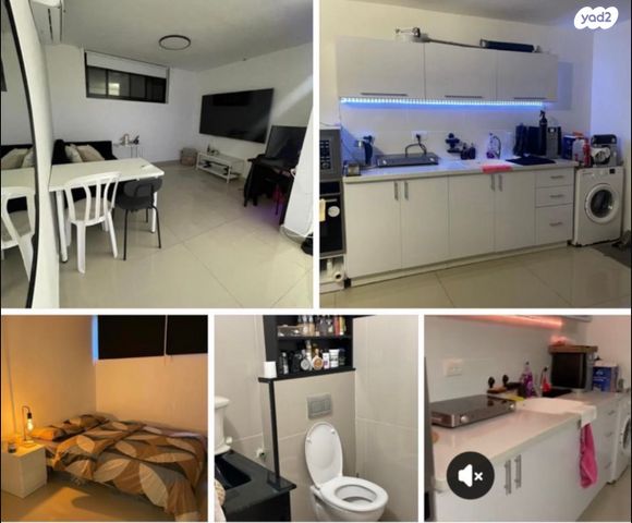 שבטי ישראל 5