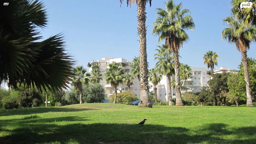 תכנית ל', למד