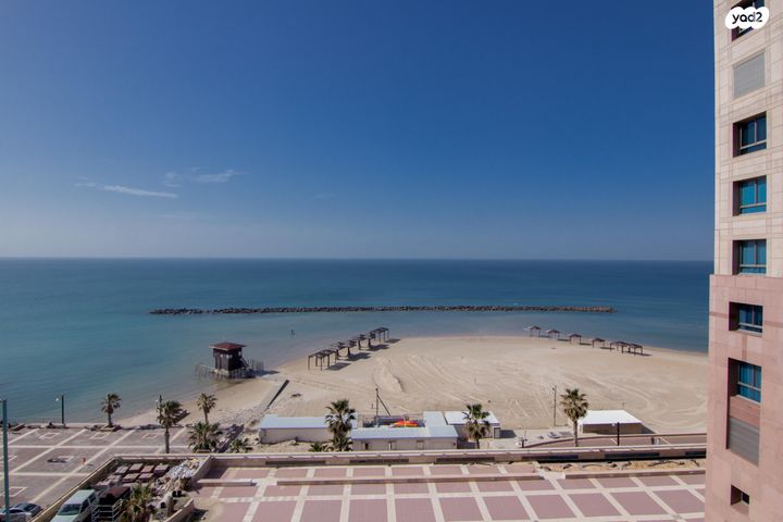 דוד אלעזר 10