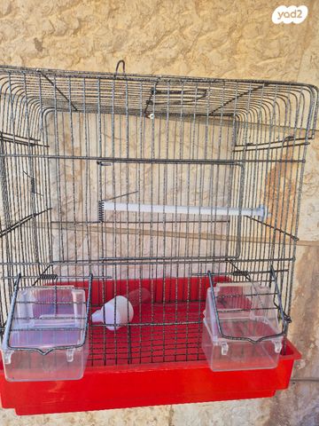 תמונת מודעה - חיות מחמד