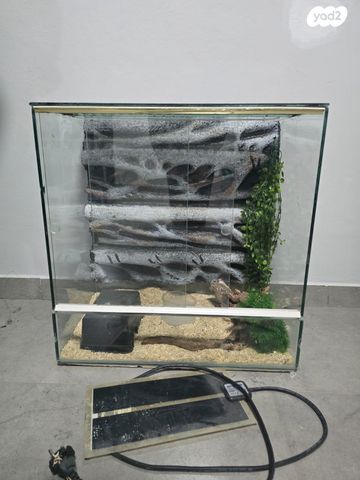 תמונת מודעה - חיות מחמד