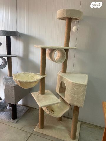 תמונת מודעה - חיות מחמד