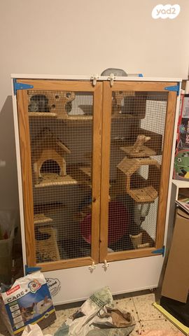 תמונת מודעה - חיות מחמד