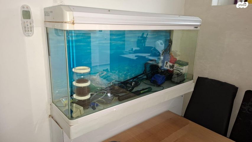 תמונת מודעה - חיות מחמד