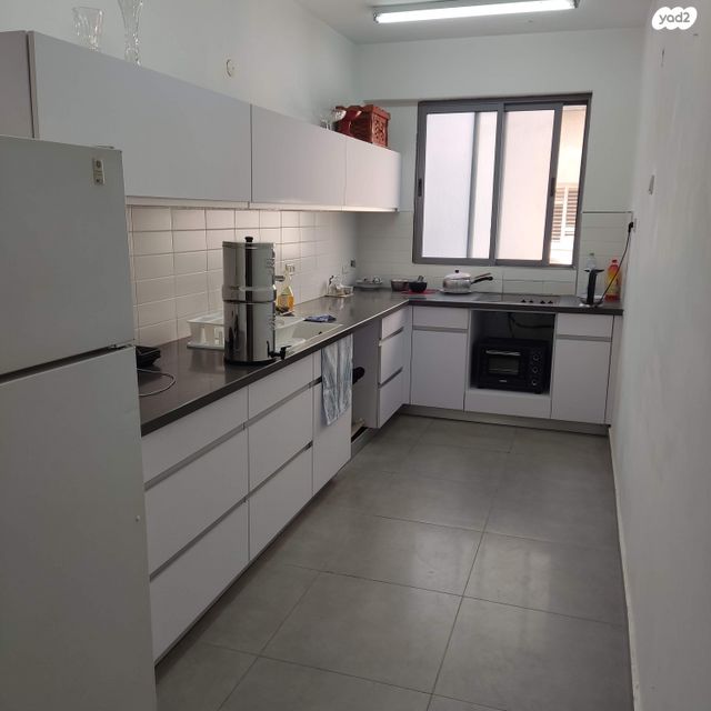 אריה שנקר 64