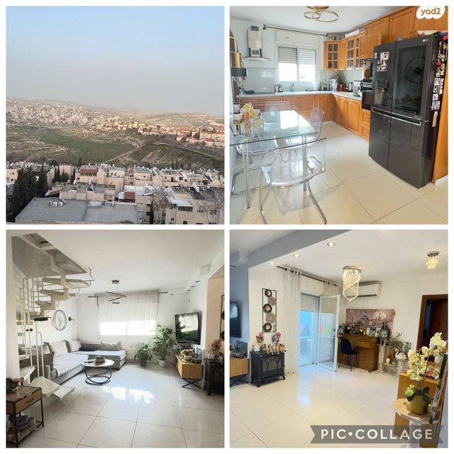 חיים תורן 37