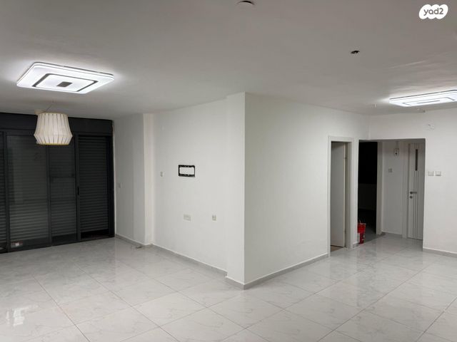 פנחס לבון 20