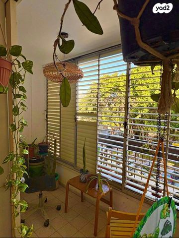 כוכבי יצחק 3