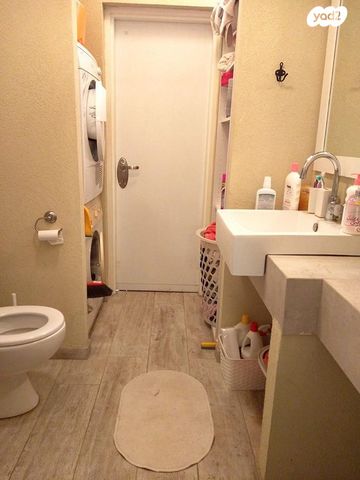 יהושע חנקין 101