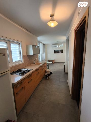 מחנה יהודה 19