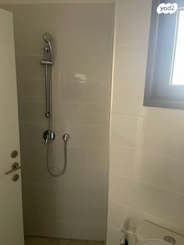 כ"ט בנובמבר 4