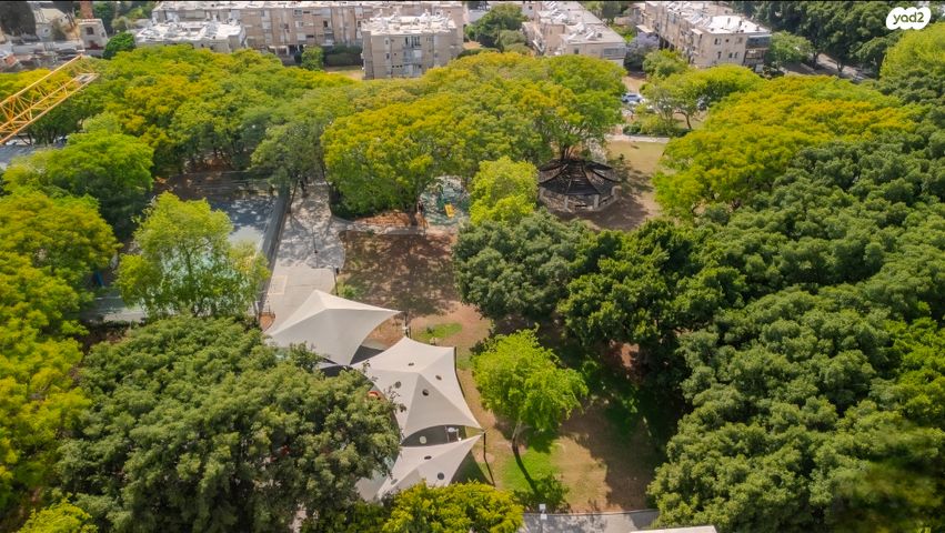 אריה אלטמן 7